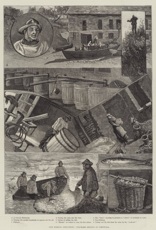 Nossas Indústrias de Pesca, Pilchard Seining na Cornualha de Percy Robert Craft