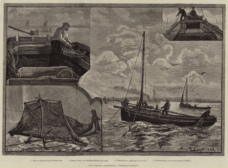 Nossas Indústrias de Pesca, Pesca de Whitebait de Percy Robert Craft