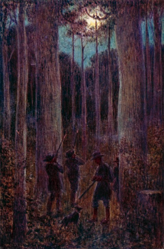A floresta australiana à noite, gambás "lunar" (cor litho) de Percy F.S. (after) Spence
