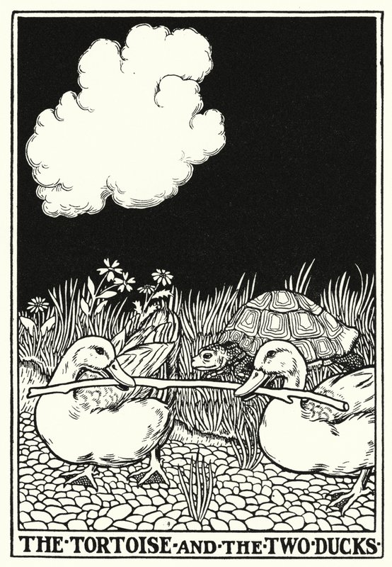Fábulas de La Fontaine: A tartaruga e os dois patos (litho) de Percy James Billinghurst