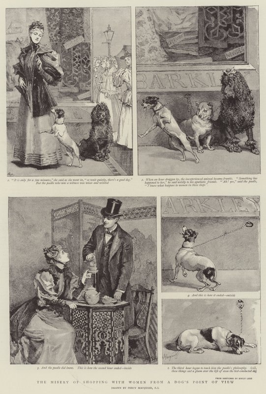 A miséria de fazer compras com mulheres do ponto de vista de um cão de Percy Macquoid