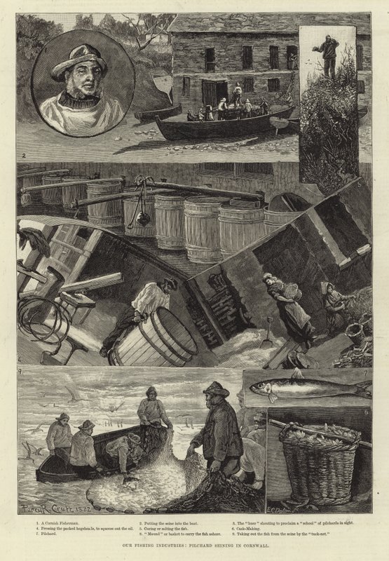 Nossas Indústrias de Pesca: Sardinha Seining na Cornualha de Percy Robert Craft