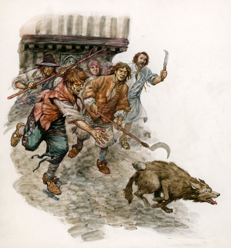 Perseguindo um cão selvagem pelas ruas de Peter Jackson
