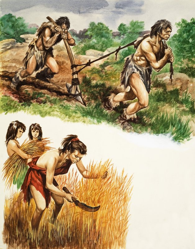 Agricultura da Idade da Pedra de Peter Jackson