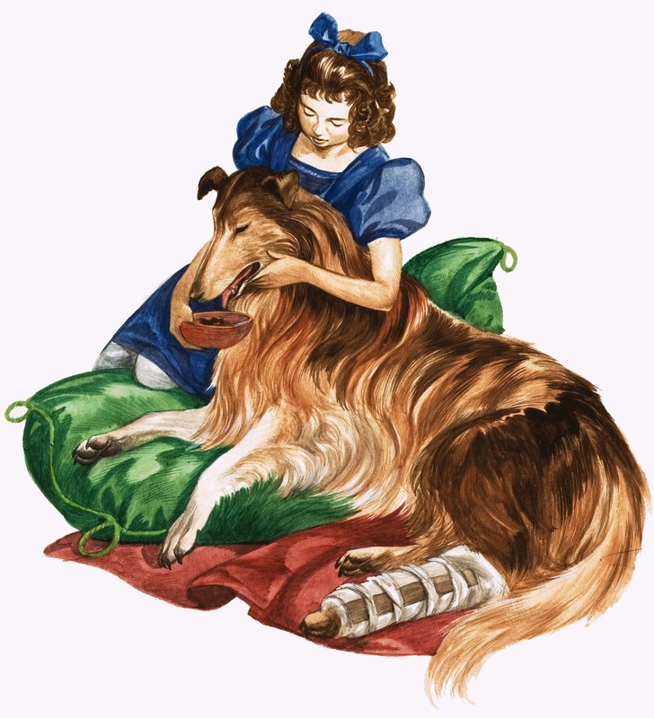 Quando eles eram jovens: Florence Nightingale de Peter Jackson