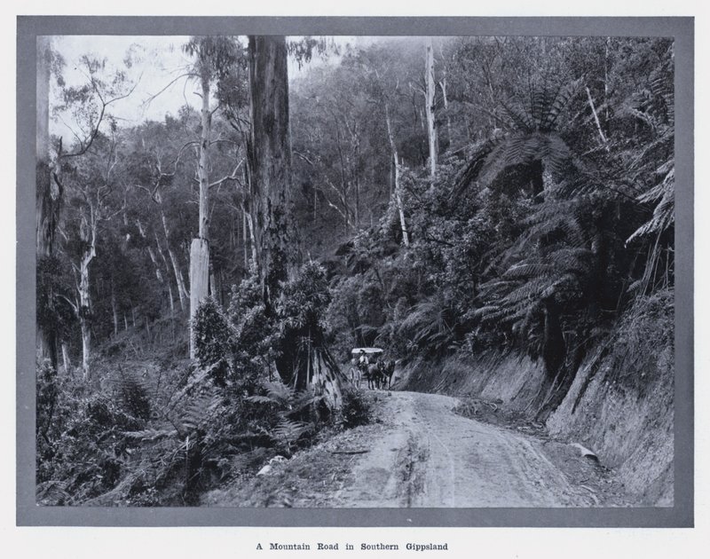 Uma Estrada de Montanha no Sul de Gippsland (foto a p/b) de Photographer Australian