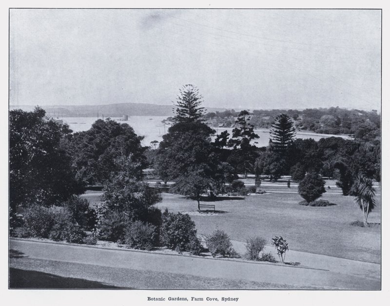 Botanic Gardens, Farm Cove, Sydney (foto p/b) de Photographer Australian