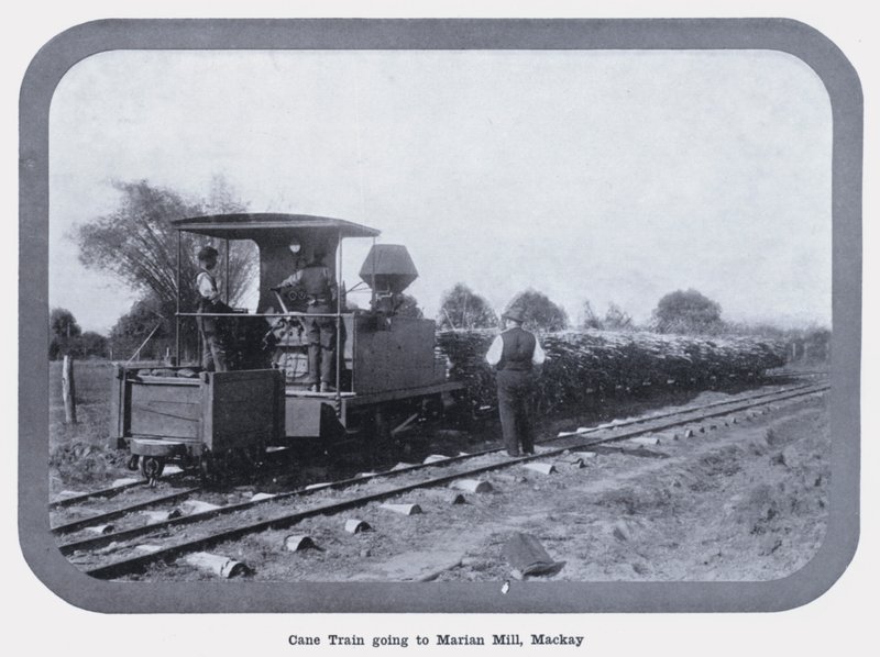 Cane Train indo para Marian Mill, Mackay (foto a p/b) de Photographer Australian