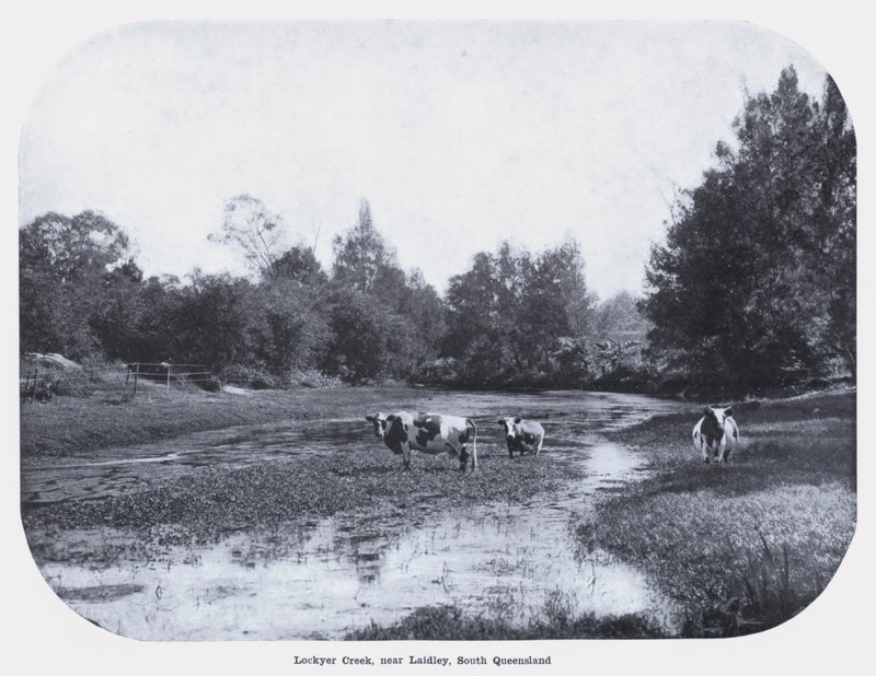 Lockyer Creek, perto de Laidley, South Queensland (foto a p/b) de Photographer Australian