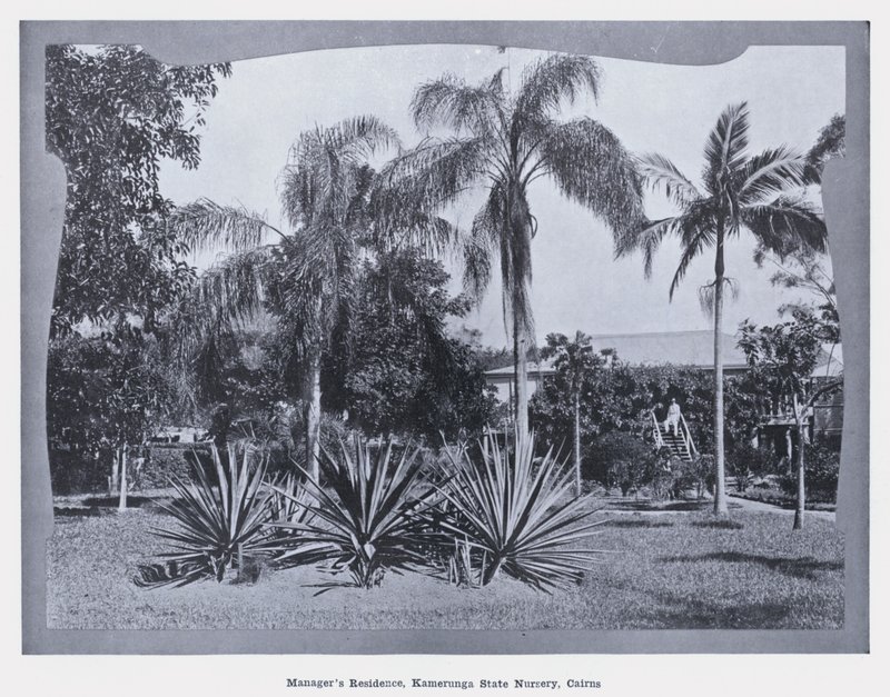 Residência do Gerente, Kamerunga State Nursery, Cairns (foto a p/b) de Photographer Australian