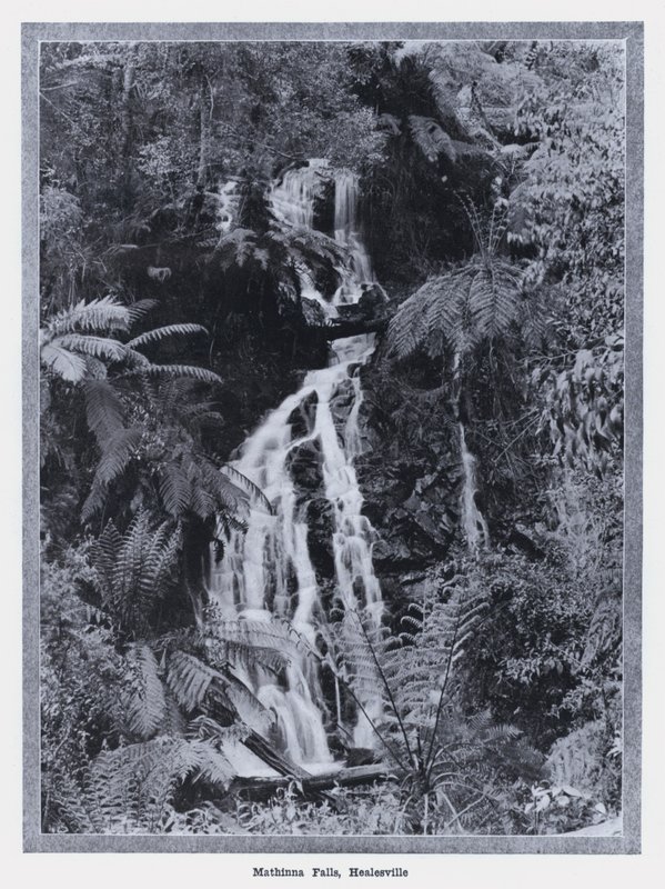 Mathinna Falls, Healesville (foto a p/b) de Photographer Australian