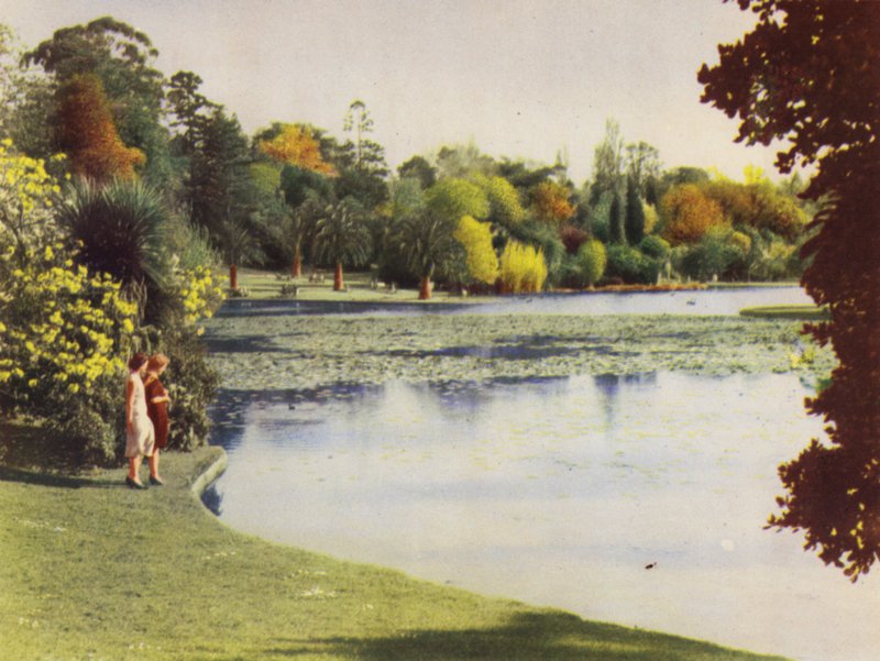 Jardim Botânico de Melbourne (foto colorida) de Photographer Australian