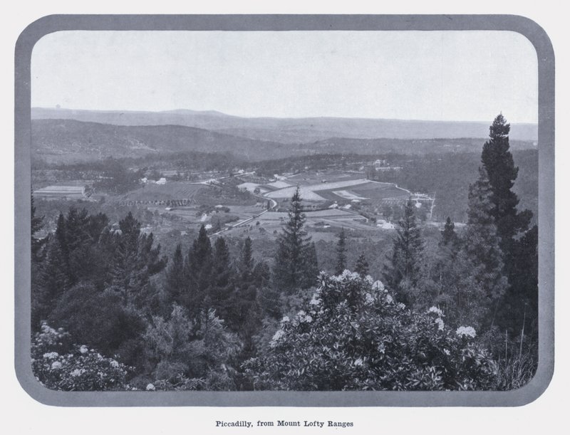 Piccadilly, de Mount Lofty Ranges (foto a p/b) de Photographer Australian