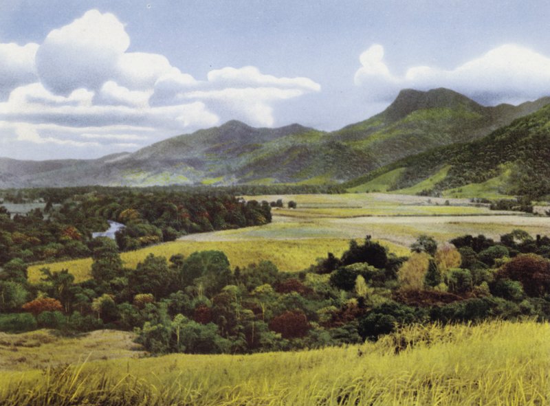 Queensland, Austrália: Sugar Lands at Mossman (foto) de Photographer Australian