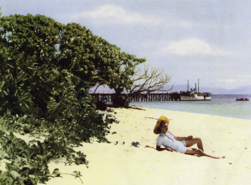 Queensland, Austrália: The Tropical Beach (foto) de Photographer Australian