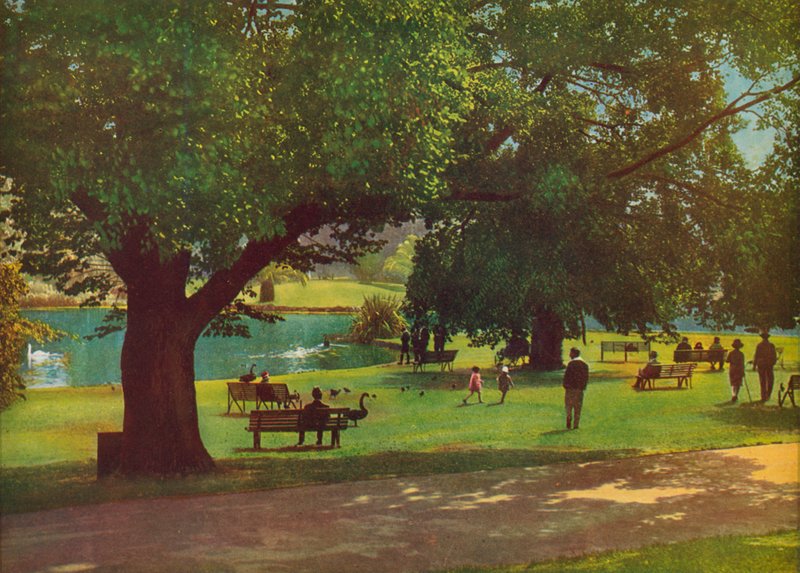 O Jardim Botânico, Melbourne (fotografia a cores) de Photographer Australian