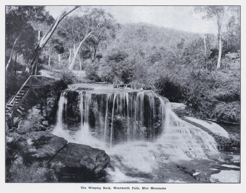 The Weeping Rock, Wentworth Falls, Blue Mountains (foto a p/b) de Photographer Australian