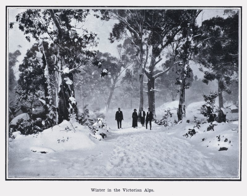 Inverno nos Alpes Vitorianos (foto a p/b) de Photographer Australian