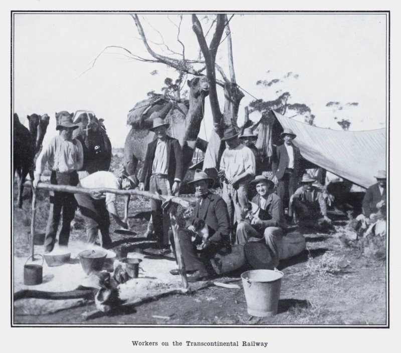 Trabalhadores da Ferrovia Transcontinental (foto a p/b) de Photographer Australian