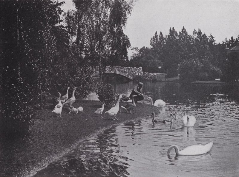 Lake, Beacon Hill Park, Victoria, British Columbia (foto a p/b) de Photographer Canadian