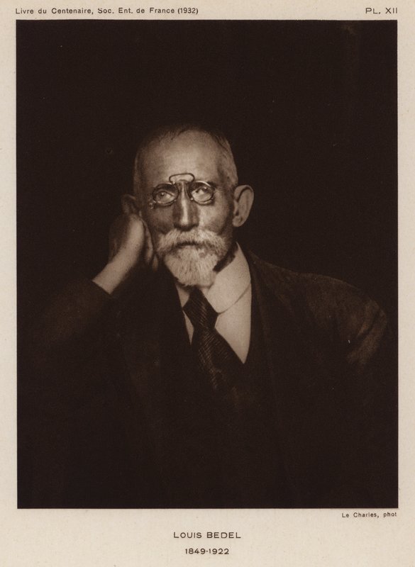 Ernest Marie Louis Bedel, entomologista francês (foto a p/b) de Photographer French