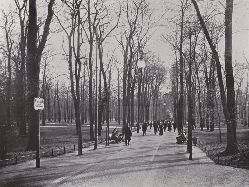 No Tiergarten, Ahornsteig (foto a p/b) de Photographer German