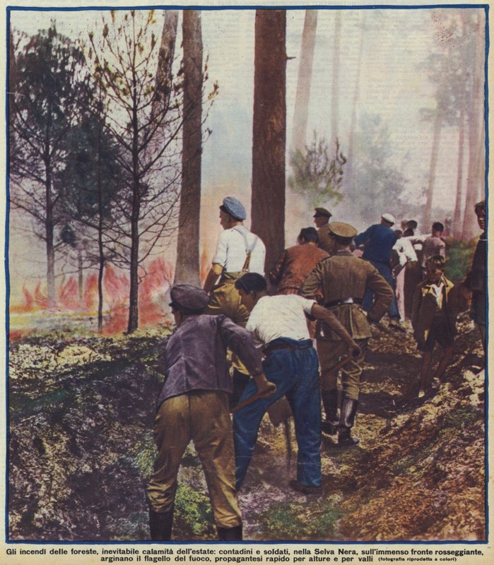 Camponeses e soldados combatendo um incêndio florestal na Floresta Negra, Alemanha de Photographer German