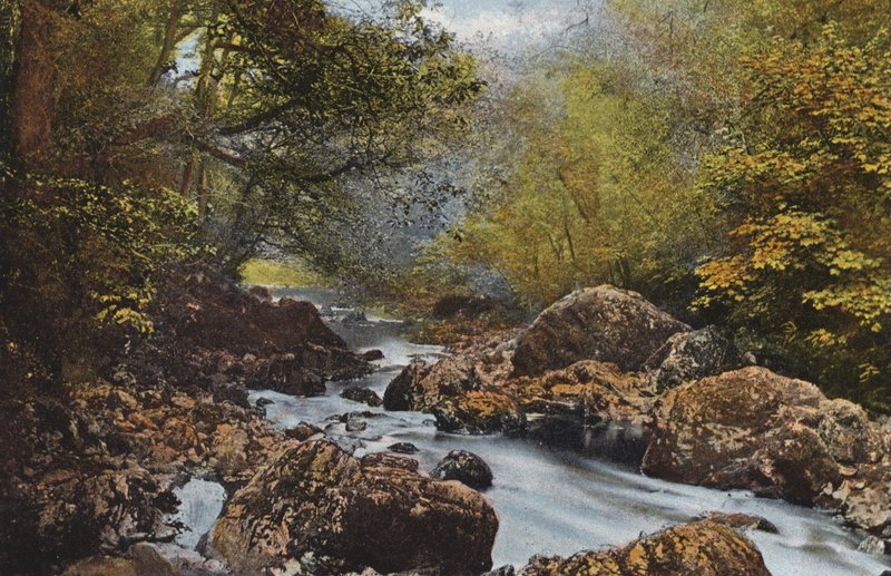 Irlanda: Em The Dargle, County Wicklow (foto a cores) de Photographer Irish