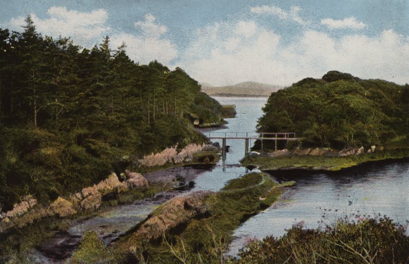 Sul da Irlanda: Parknasilla, County Kerry (foto colorida) de Photographer Irish