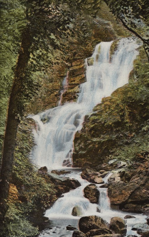 Irlanda do Sul: Torc Cascade, Killarney (foto colorida) de Photographer Irish