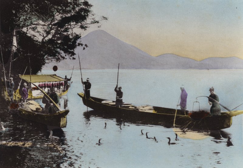 Japão, c.1912: Pesca com um corvo-marinho, Nagaragawa (foto) de Photographer Japanese