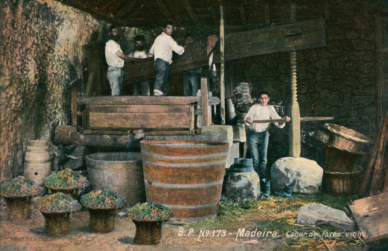 Wine press, Madeira, Portugal (b/w photo) de Photographer Portuguese