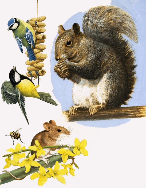 Pequenos animais atarefados, incluindo o chapim azul, o chapim-real, a abelha, o rato do campo e o esquilo cinzento. de R.B. Davis