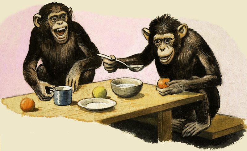 Z de Zoo. A festa de chá do chimpanzé de R.B. Davis
