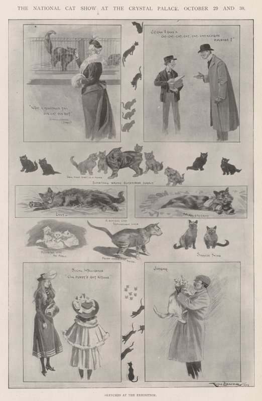 O National Cat Show no Crystal Palace, 29 e 30 de outubro de Ralph Cleaver