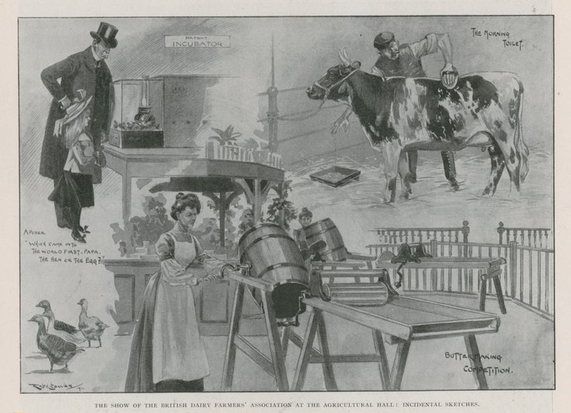 A exposição da Associação Britânica de Produtores de Leite no Salão da Agricultura (gravura) de Ralph Cleaver