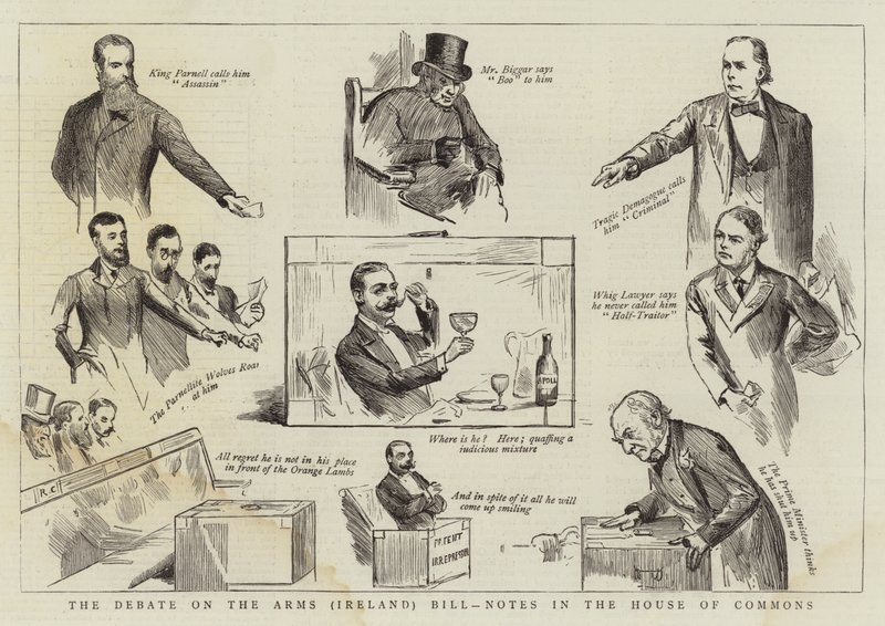 O Debate sobre as armas (Irlanda) Projeto de lei, notas na Câmara dos Comuns de Randolph Caldecott