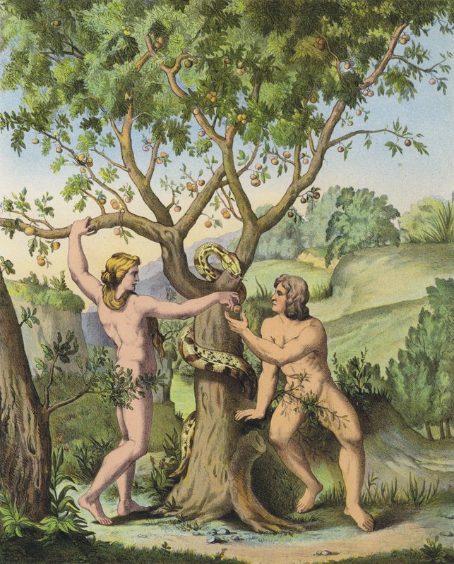 Eva apresentando a maçã da árvore do conhecimento do bem e do mal a Adão (cor litho) de after Raphael