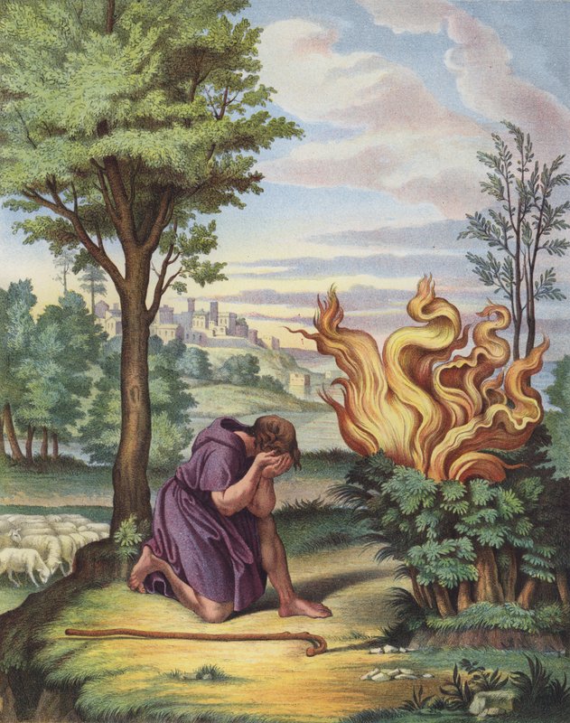 Moses and the Burning Bush (cor litho) de after Raphael