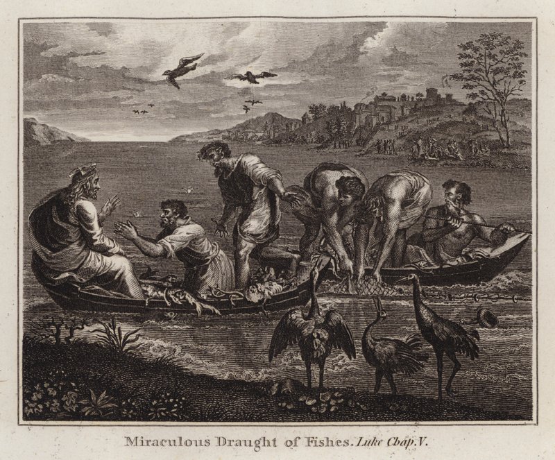 Desenho animado do Raphael: Miraculous Draught of Fishes, Luke, Capela V (gravura) de after Raphael
