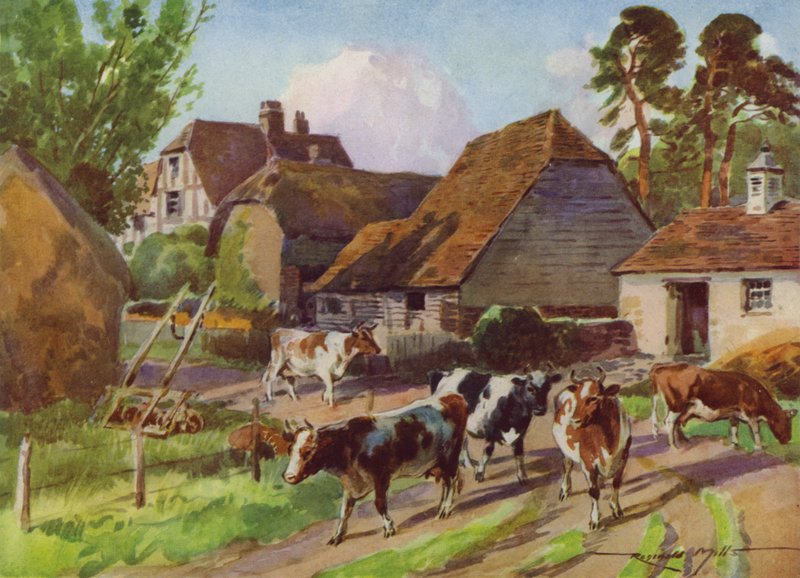 Ilustração para a Minha Quinta (cor litho) de Reginald Mills