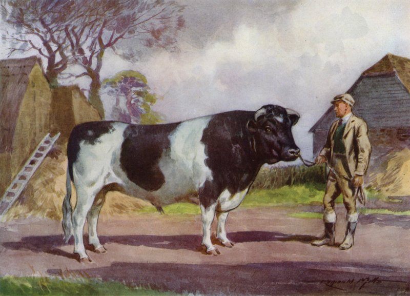 Ilustração para a Minha Quinta (cor litho) de Reginald Mills