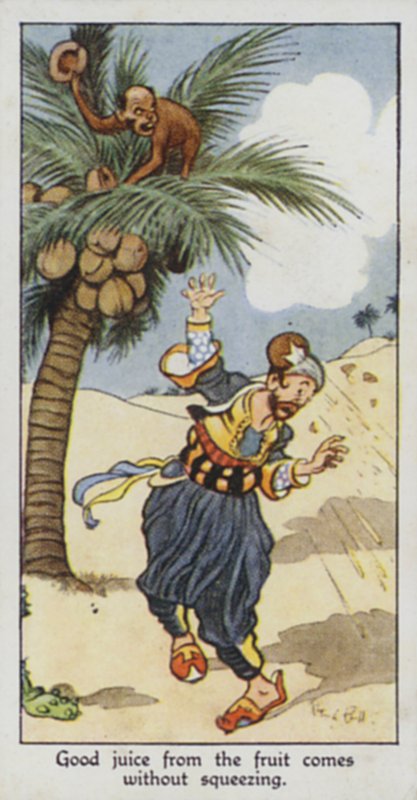 Provérbio Oriental: Bom sumo da fruta vem sem espremer (cor litho) de René Bull