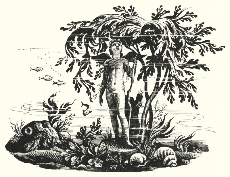 Hans Christian Andersen: A Pequena Sereia (litho) de Rex (after) Whistler