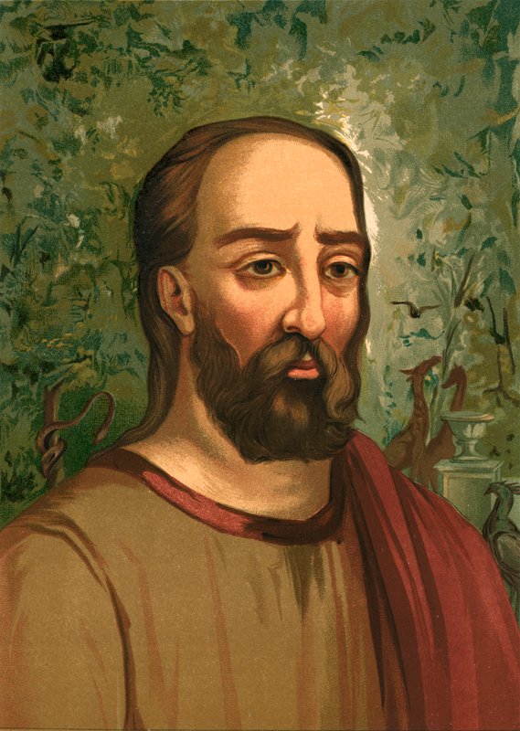 Plínio, o Velho de Ricardo Marti