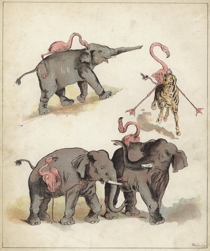 Elefantes e flamingos (cromolitho) de Richard Andre