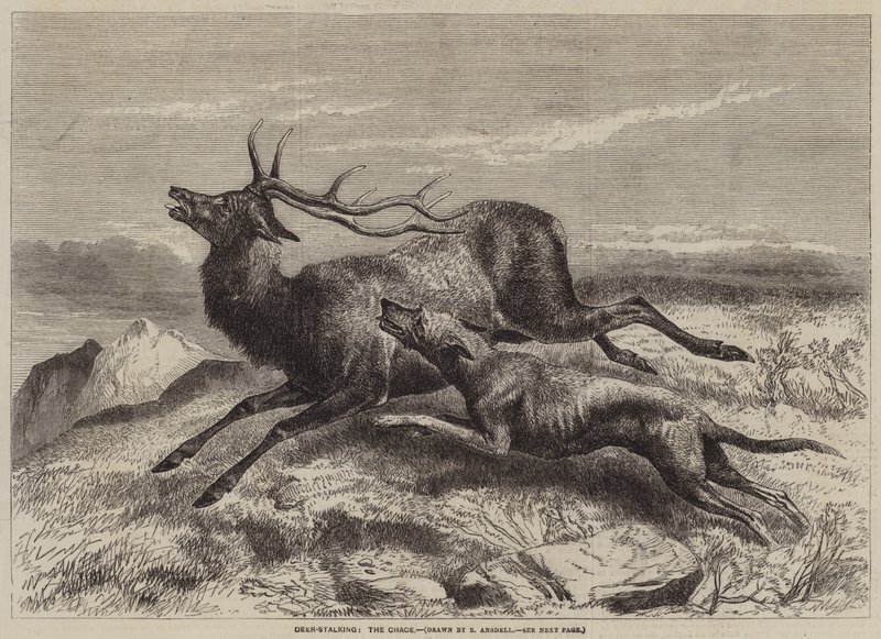 Cervos-Perseguindo, o Chace de Richard Ansdell