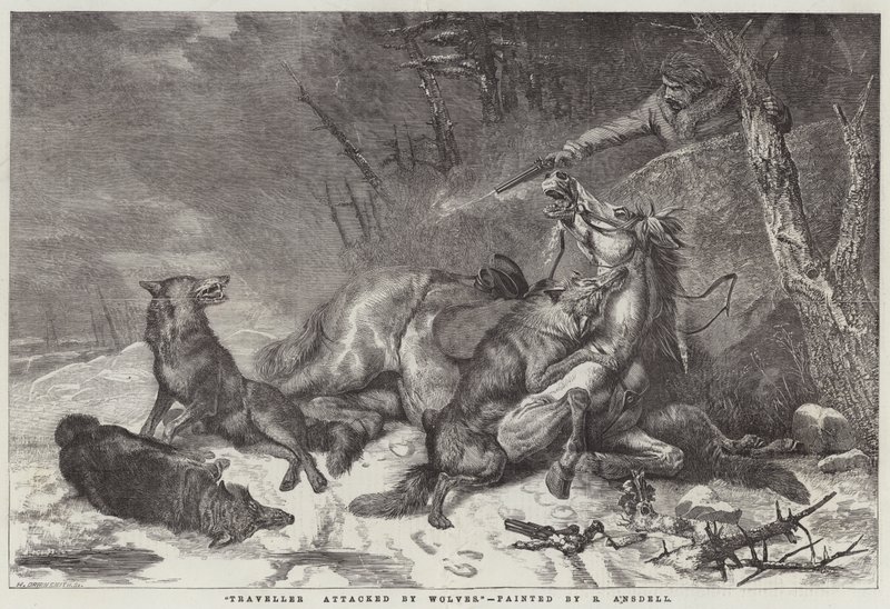 Viajante atacado por lobos de Richard Ansdell