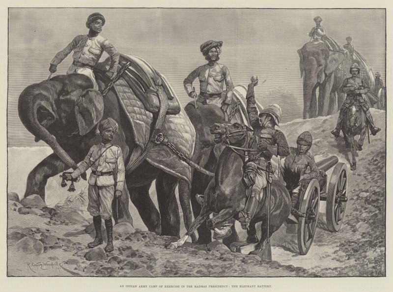 Um Acampamento do Exército Indiano de Exercício na Presidência de Madras, a Bateria do Elefante de Richard Caton Woodville junior