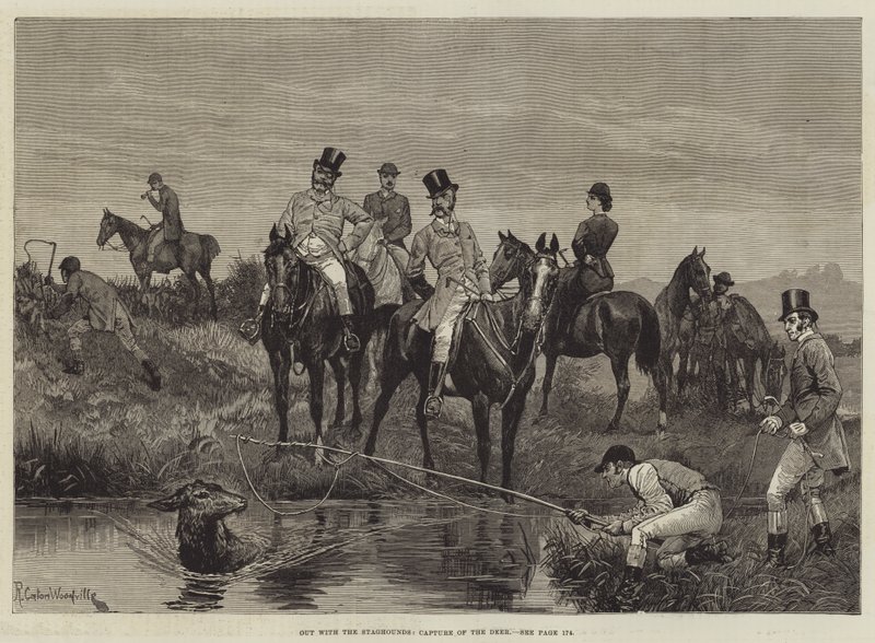 Fora com os Staghounds, captura dos cervos de Richard Caton Woodville junior